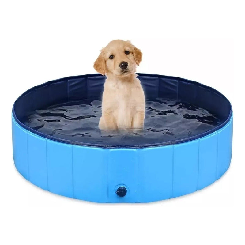 Piscina Inflable Redonda Piscina 80x20 Piscina Plegable Para Macotas Bañera Plegable Piscina Para Perros Qatarshop Piscina Perros Redonda Piscina Mascotas Bañera Plegable Verano